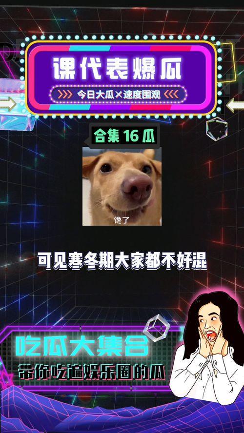 娱乐八卦吃瓜社,明星背后的那些事儿